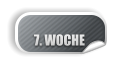 7. WOCHE