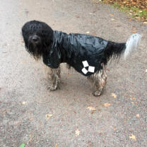 Regen mag ich berhaupt nicht